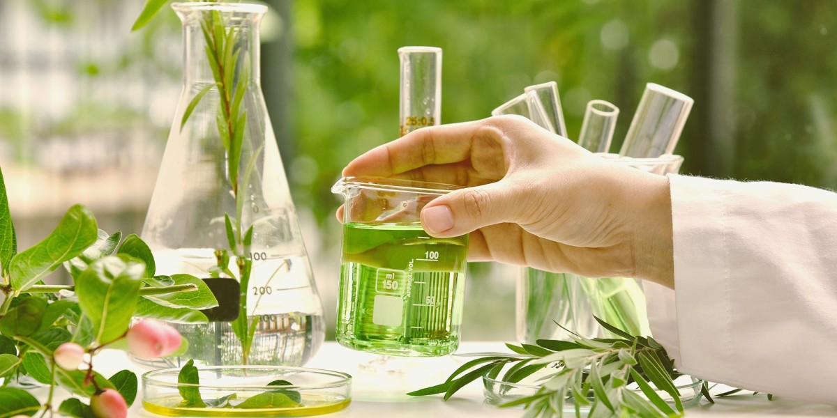 Beverage Botanical Extracts Market Opportunities: Capitalizing on the Shift Toward Health-Conscious Consumer Choices