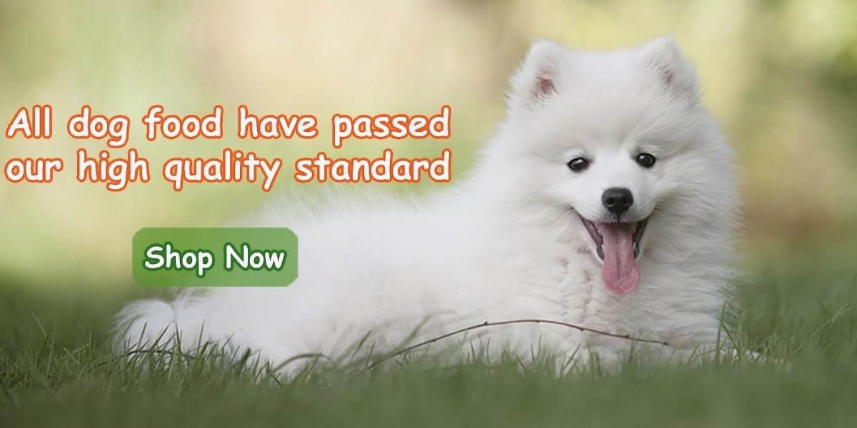 Wise Pet – Your Trusted Online Pet Store in Hong Kong