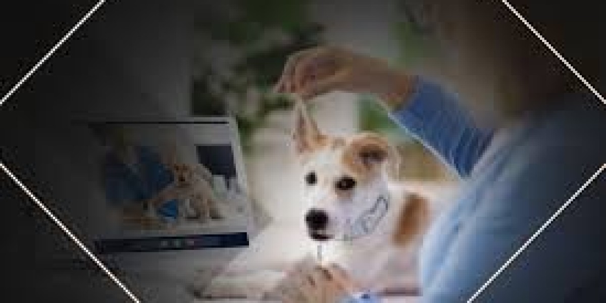 How Veterinary Telemedicine App Development Is Transforming Pet Care Featuring AI and Video