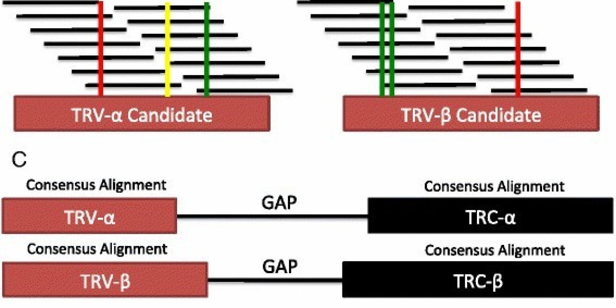 Understanding Single-Cell T Cell Receptor Sequencing