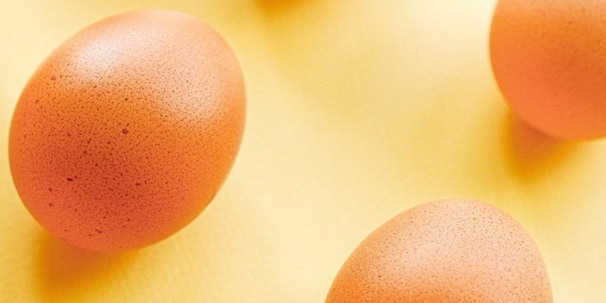 Frozen Eggs Market Strategies: Navigating Supply, Innovation, and Global Demand