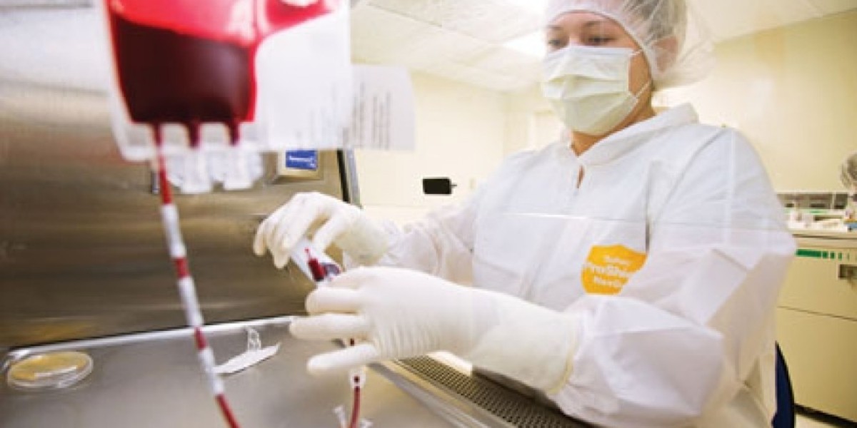 Cord Blood Banking Service Market Growth and Potential: Emerging Trends, Opportunities, and Future Outlook