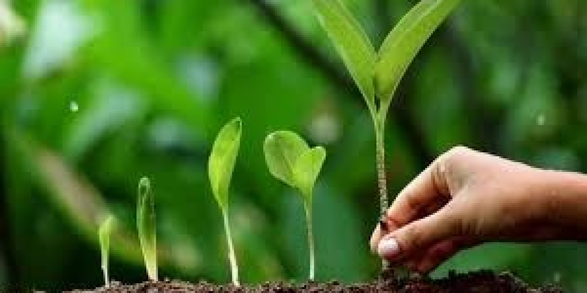 Plant Growth Regulators Market regulatory changes impact product formulation and market penetration strategies