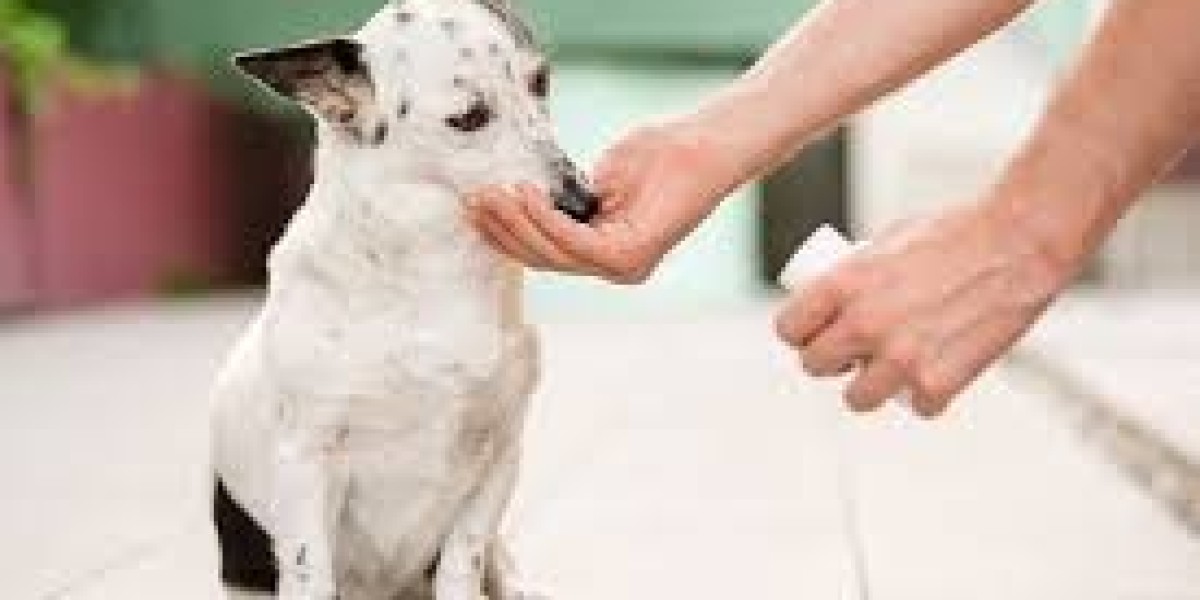 Pet Supplement Market Dynamics: Navigating the Forces Shaping a Growing Industry
