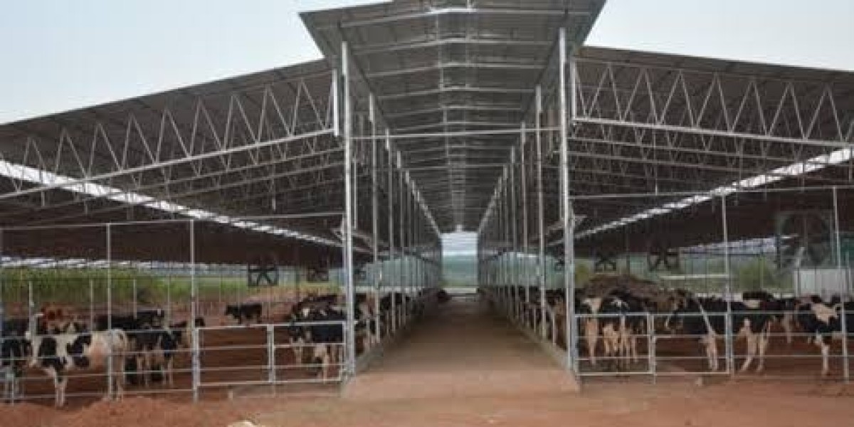 How Dairy Farm Sheds Improve Cattle Health and Productivity