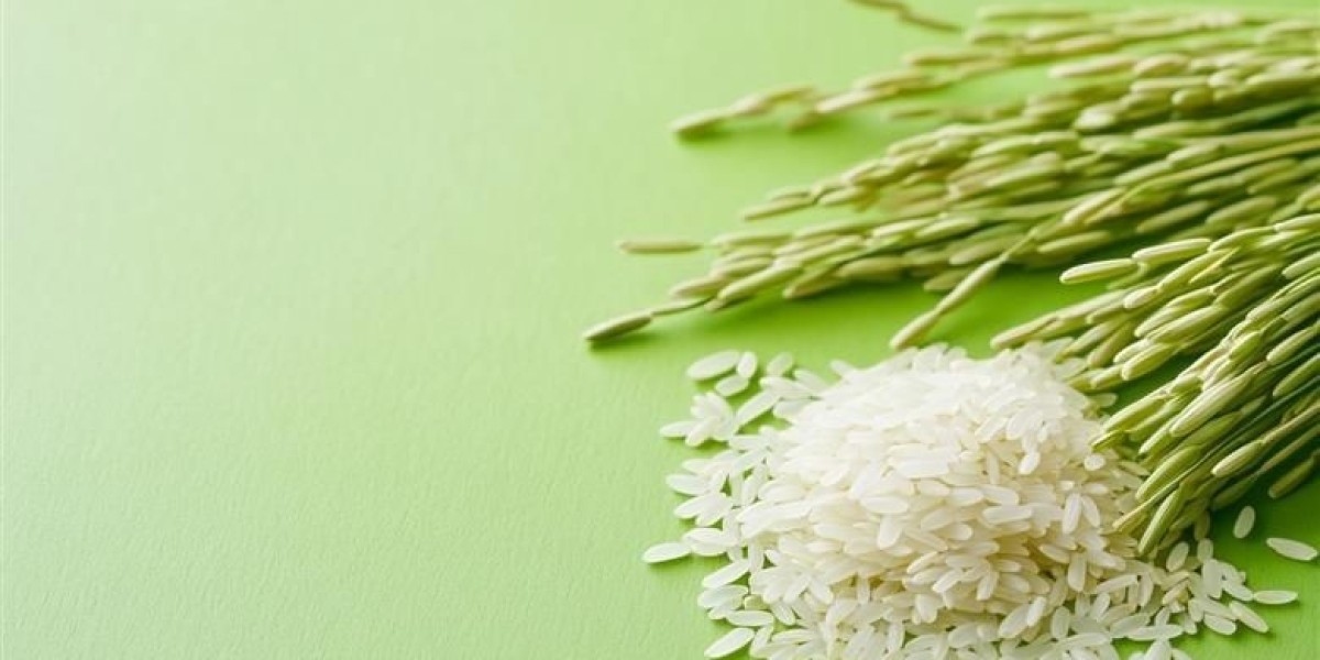 From Byproduct to Boom: Exploring the Rice Bran Wax Market Trends