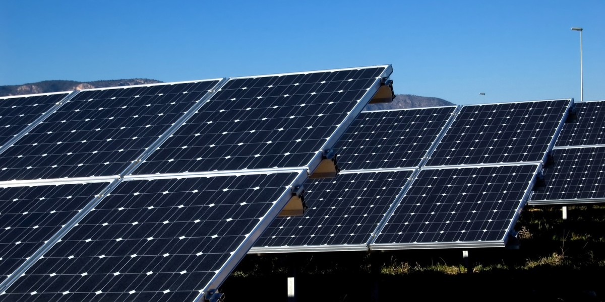 Plant PV Solar Market Faces Supply Chain Disruptions Impacting Equipment Availability and Project Timelines
