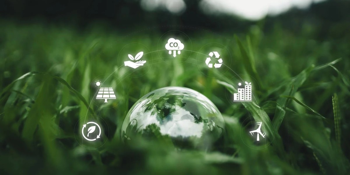 Energy Transition and Policy Reform in the Global South
