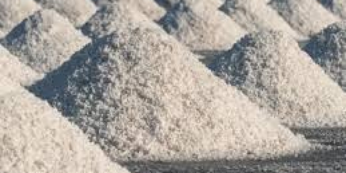 Industrial Salt Market Services: Enhancing Value Across the Supply Chain