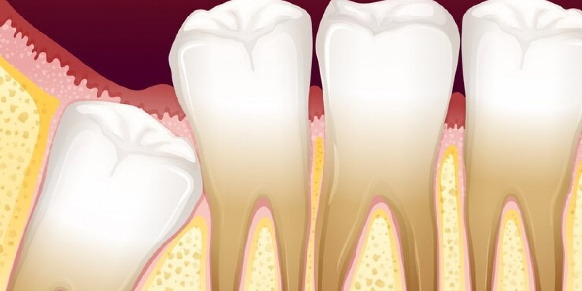 Tooth Regeneration Market Development: Latest Trends and Future Growth Outlook