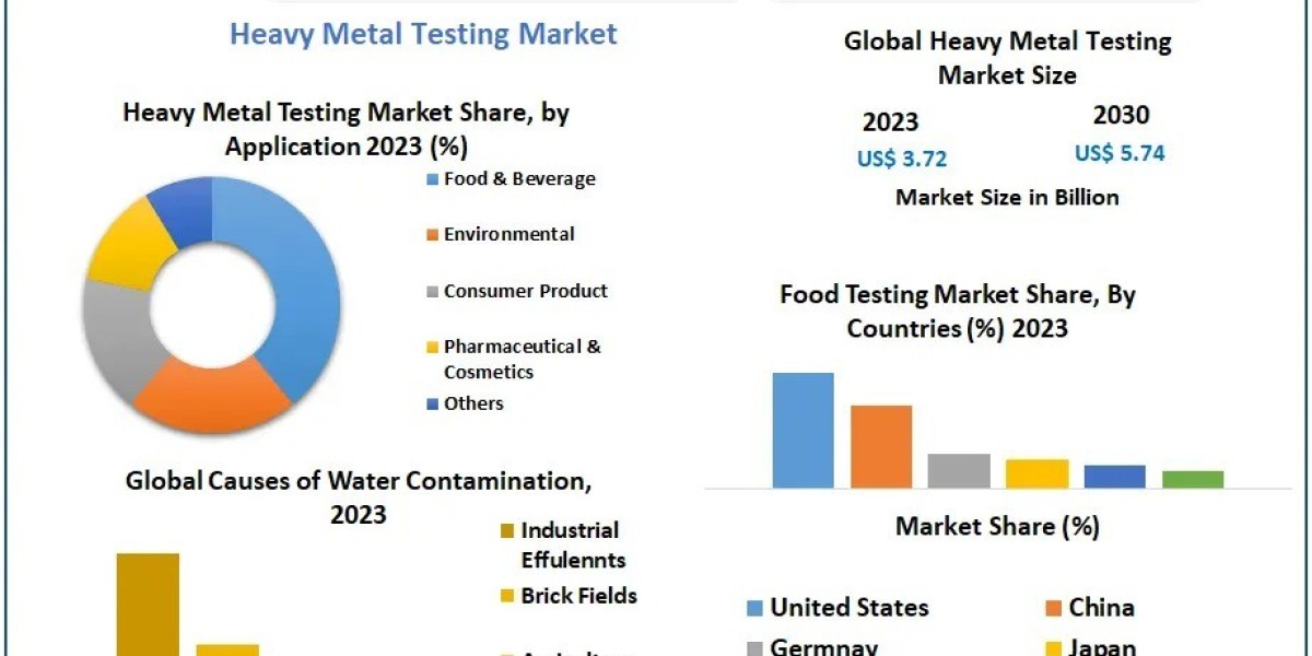 How Do Regulatory Standards Impact Heavy Metal Testing Market Growth?