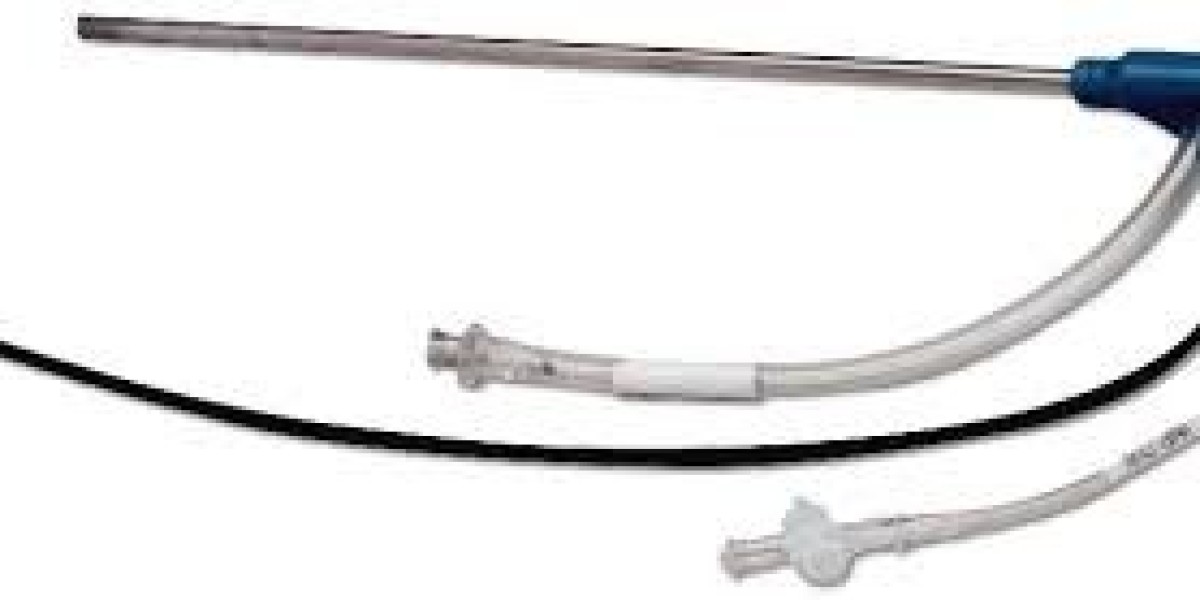 Disposable Endoscopes Market Development: Trends, Growth, and Future Outlook