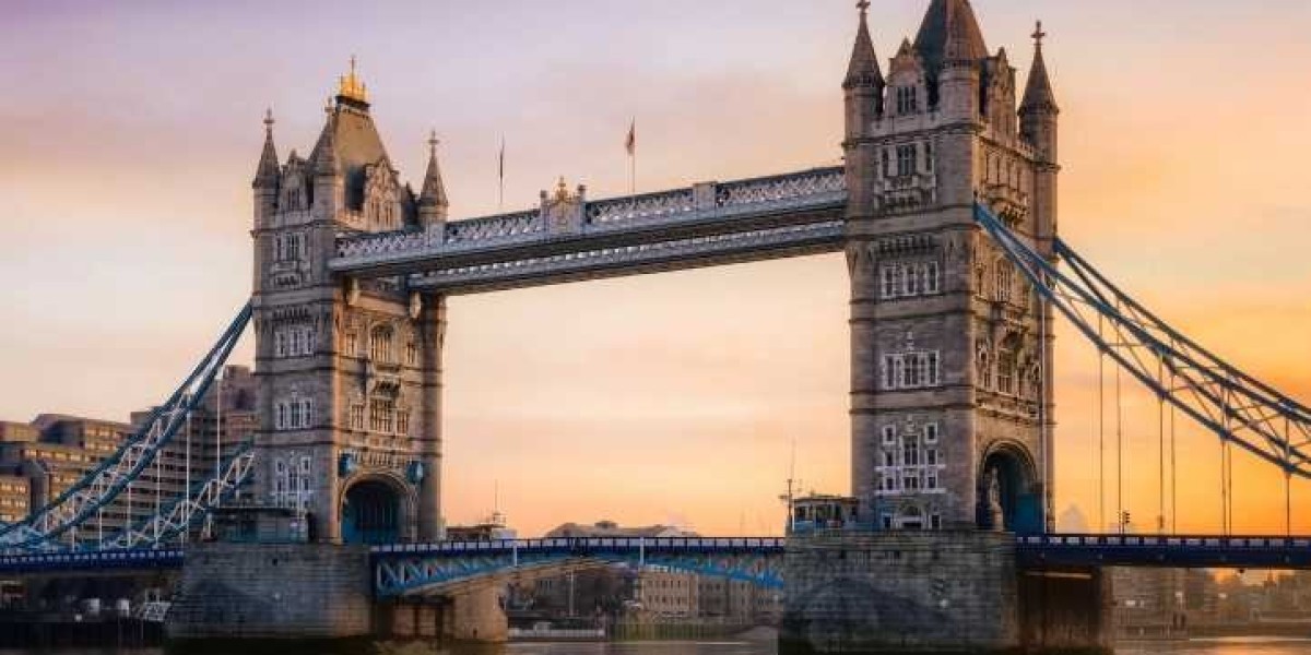Begin Your Global Journey with Expert Study Abroad Consultants
