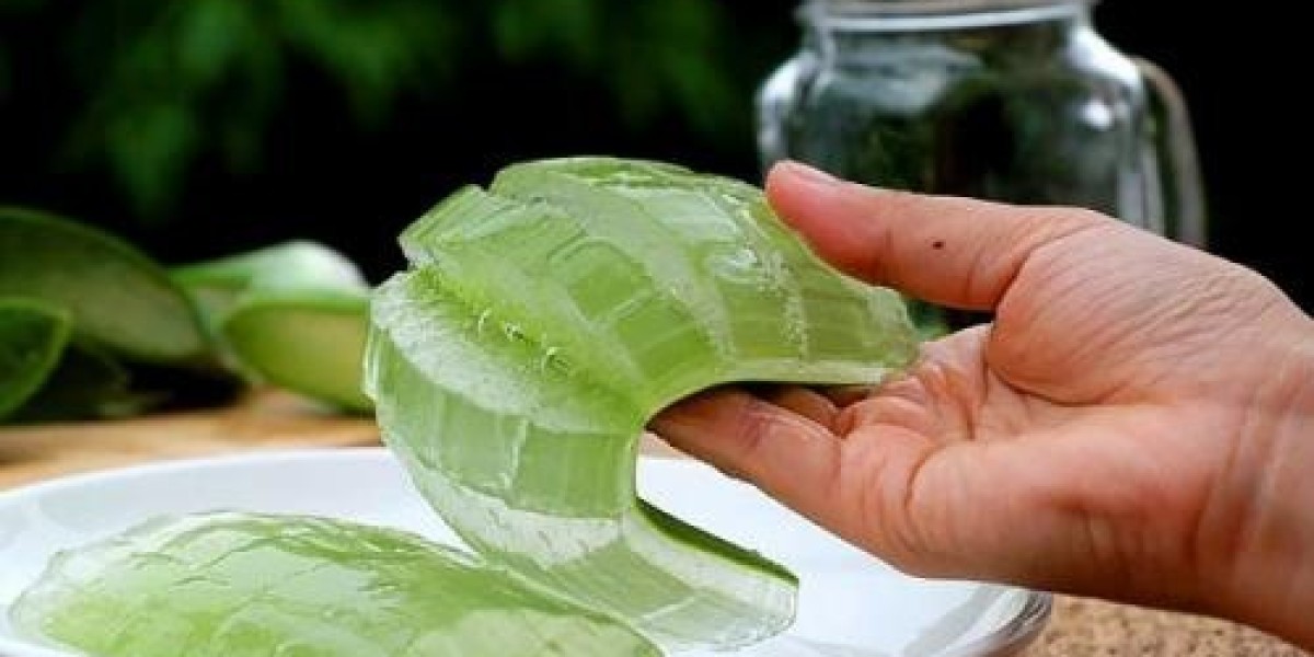 Global Aloe Vera Gel Market: Nature’s Remedy Meets Global Demand
