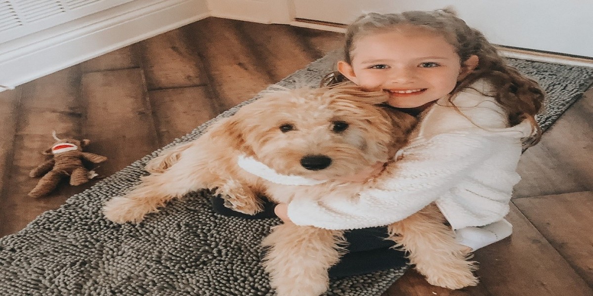 Are Goldendoodle Puppies Near Me the Right Fit for My Family?
