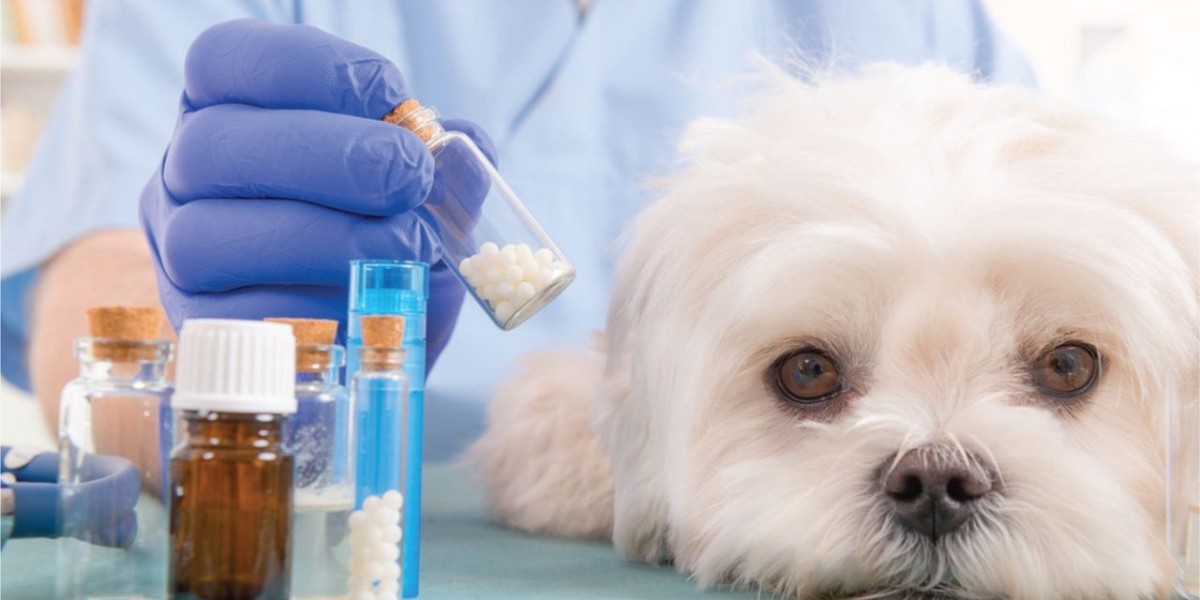 Companion Animal Drugs Market to Reach USD 31.26 Billion by 2035