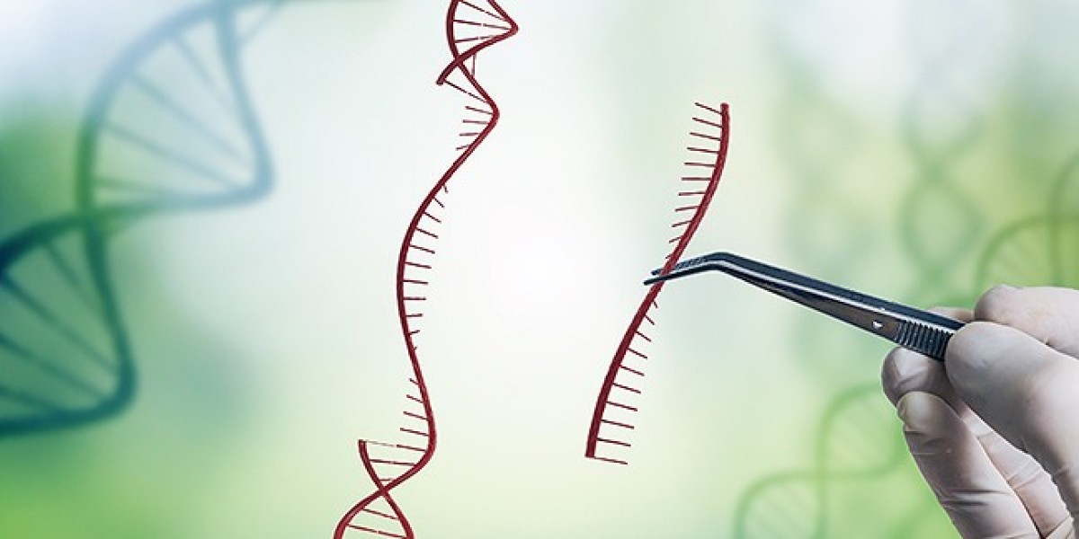CRISPR: The Genetic Revolution Reshaping Industries – Market Insights Revealed