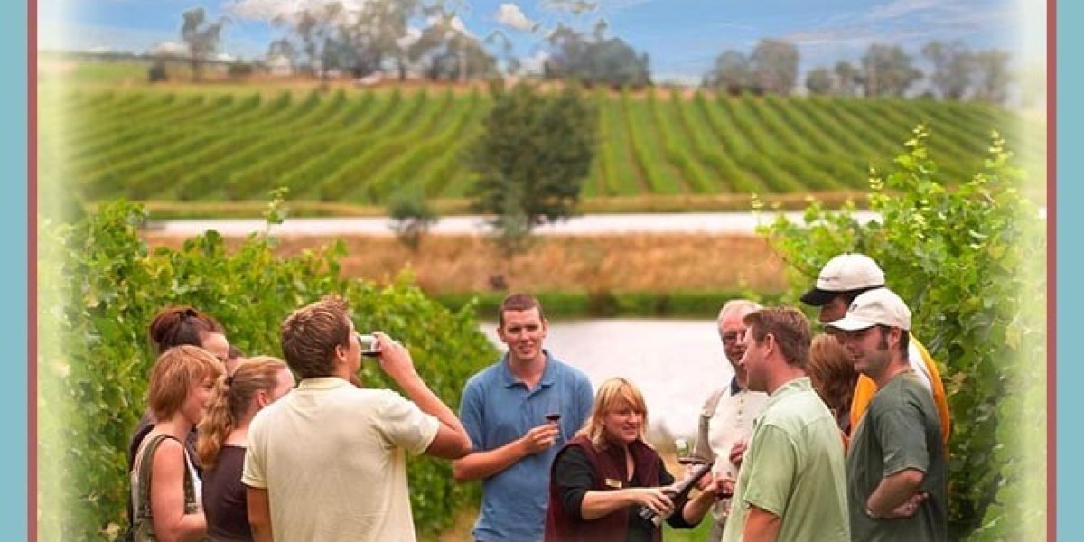 McLaren Vale Private Wine Tours to Know About Wine Industry