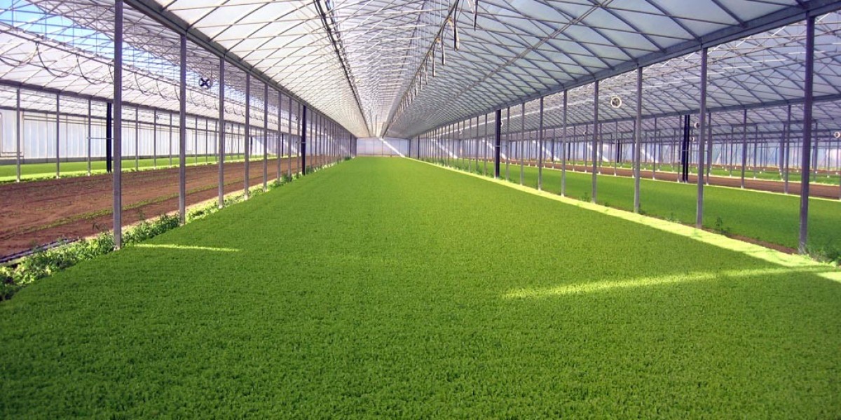 Agro Textile Market Overview 2033: Trends Shaping the Future of Smart Farming