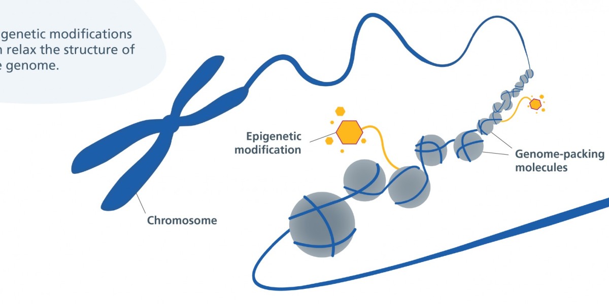 Top Trends Driving the Global Epigenetics Market With Forecast Analysis Through 2030