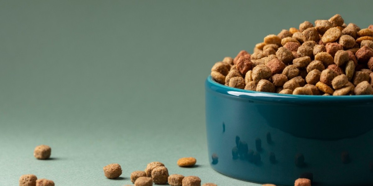Exploring the Pet Food Market: Trends, Innovations, and Consumer Shifts Shaping 2025 and Beyond