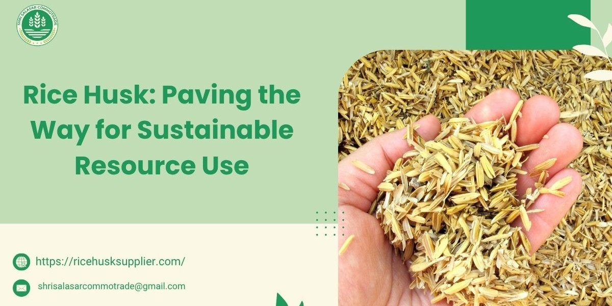 Rice Husk: Paving the Way for Sustainable Resource Use