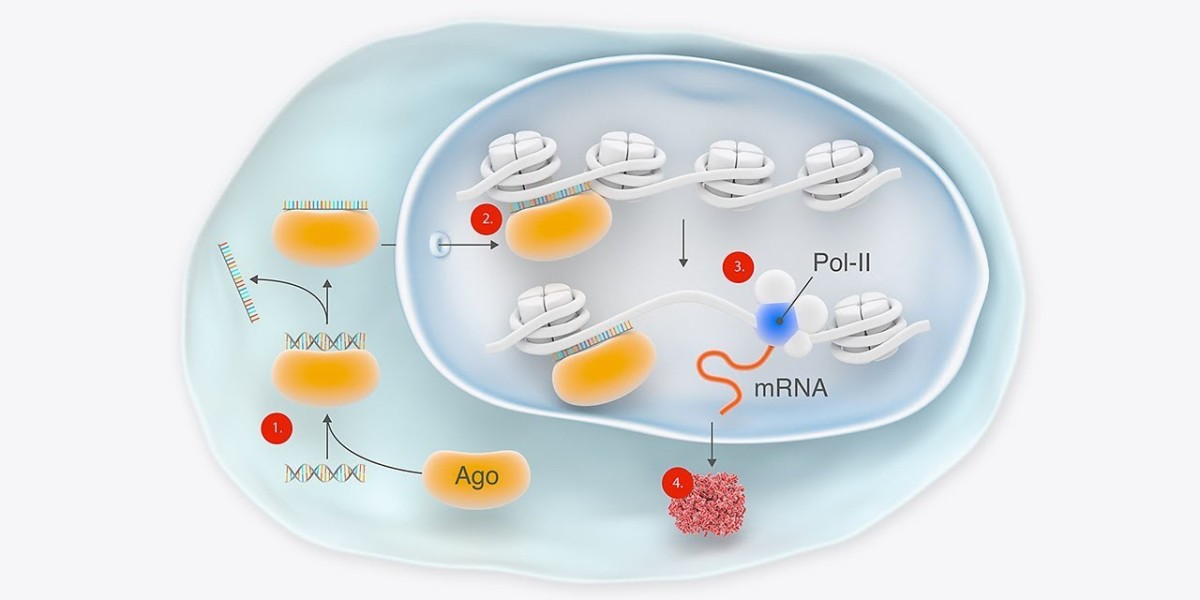 mRNA Therapeutics: The Future of Medicine – Market Trends and Breakthrough Applications