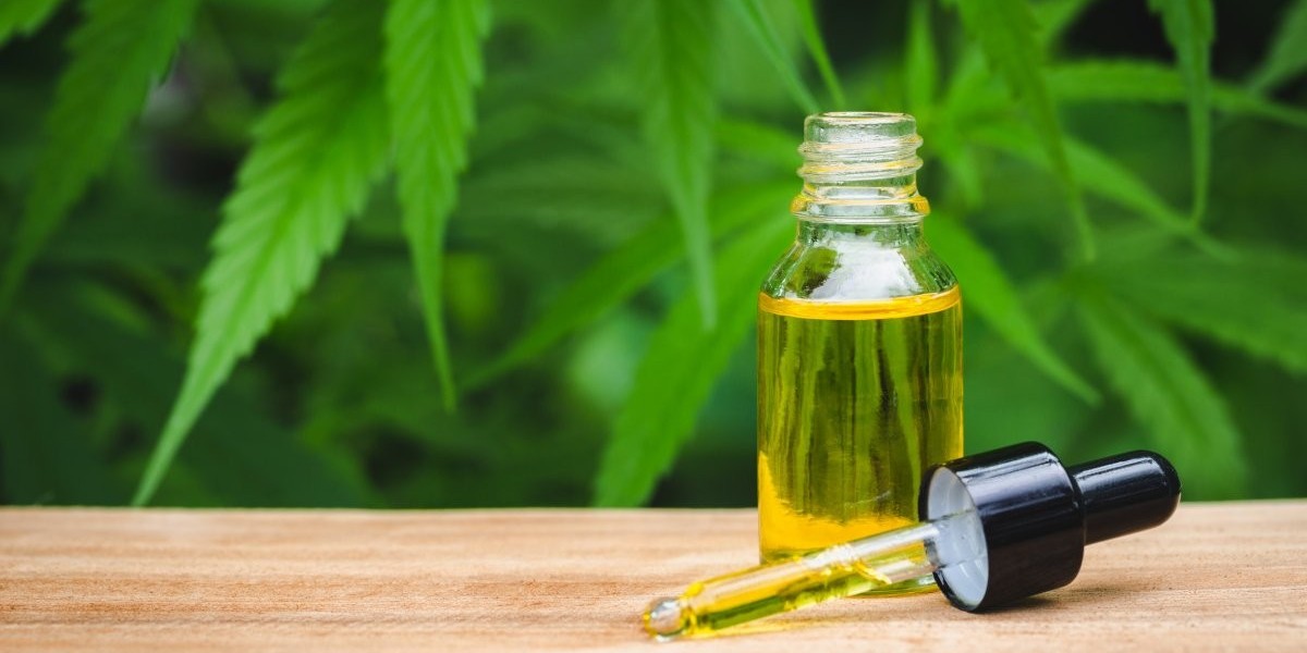 CBD Oil Market Challenges From Quality Control and Oversaturation Affect Industry Expansion Globally