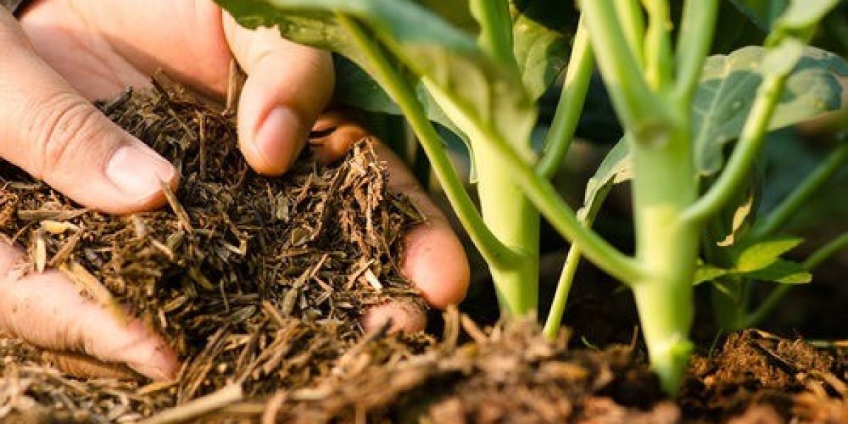 Detailed Plant Setup Report on Biofertilizer Manufacturing Includes Business Plan and Layout