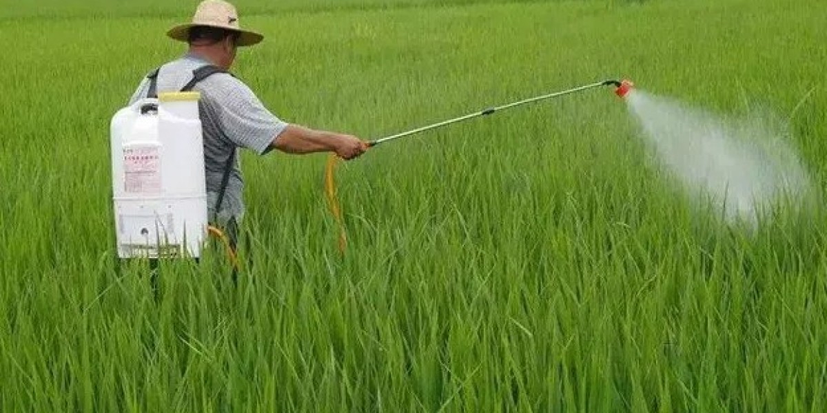 Foliar Fertilizers Market Drivers Include Increasing Crop Yield Demand and Growing Awareness about Micronutrient Deficie