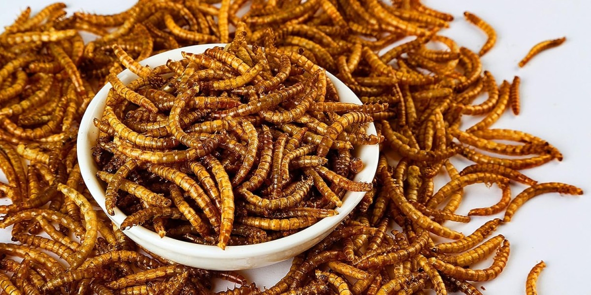 Earthworm Meal Market Dynamics: Key Drivers, Trends, Challenges, and Future Growth Insights