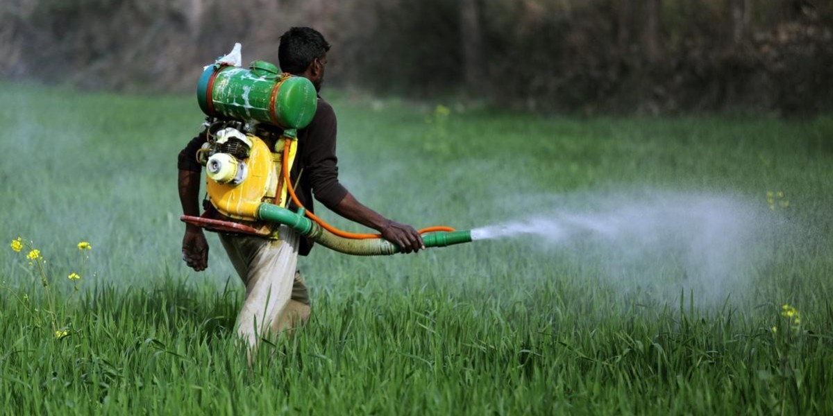The Insecticides Market: Trends, Challenges, and Future Outlook