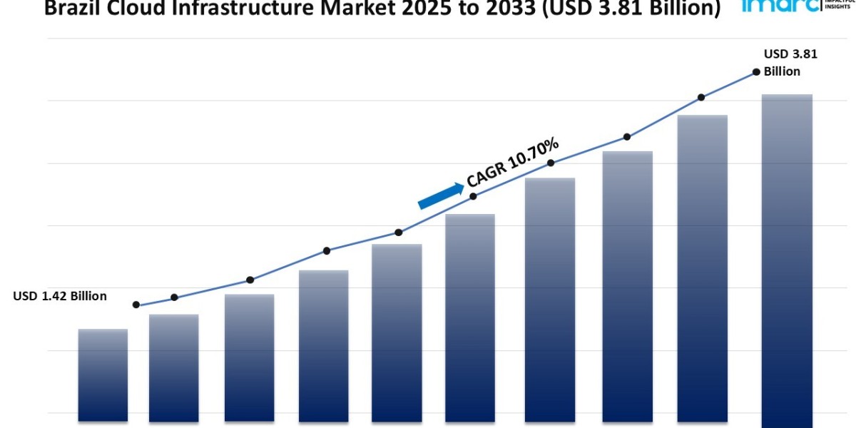 Brazil Cloud Infrastructure Market Size, Share, Growth, Trends, Report, 2025-2033