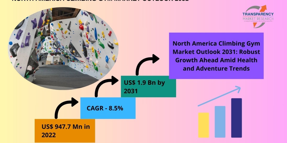 North America Climbing Gym Landscape: Key Players & Competitive Insights