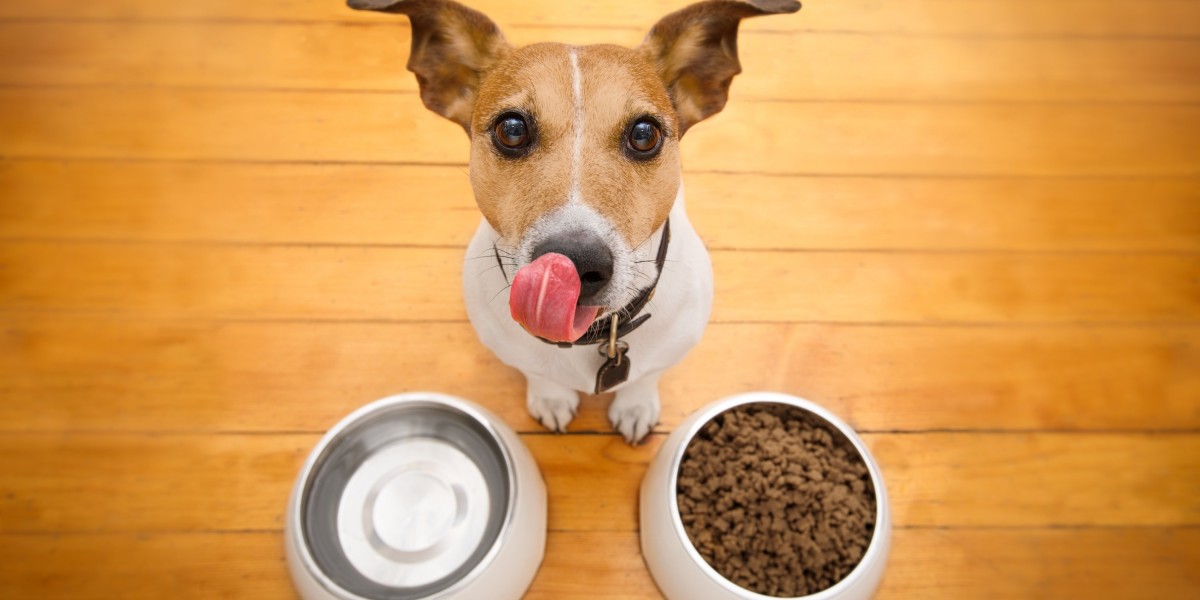 Pet Food Market Analysis Reveals Growing Demand for Clean Label and Transparent Ingredients
