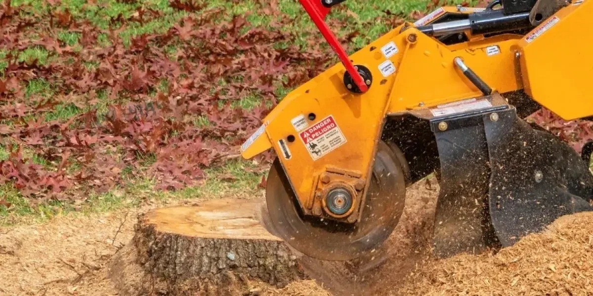 What Is Stump Removal and Why Is It Important?