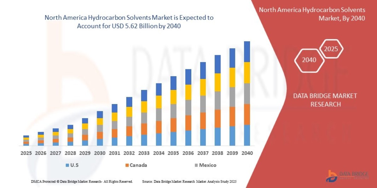 North America Hydrocarbon Solvents Market Outlook: Growth, Share, Value, Size, and Insights