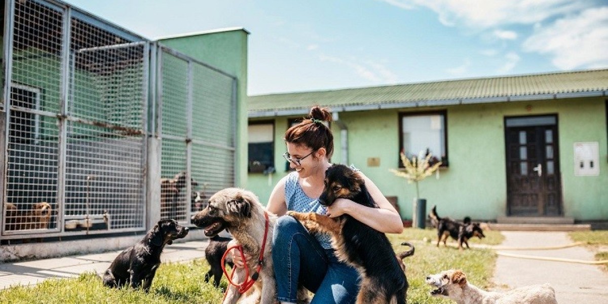 Caring Pet Stay Services Around Dubai for Cats and Dogs