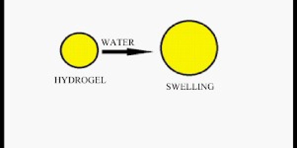 Hydrogel-based Drug Delivery Market Dynamics: Examining Forces Shaping the Future of Therapeutic Innovation