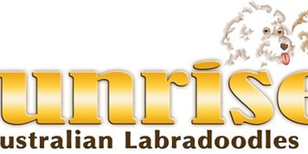 Labradoodle Breed Information for Health and Longevity