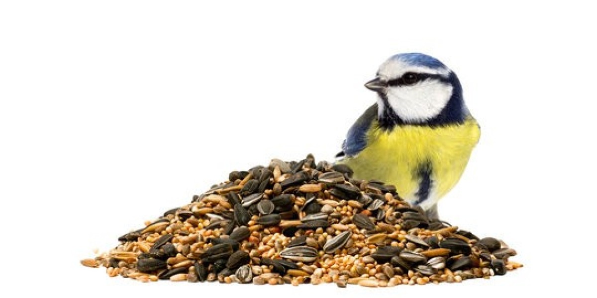 Bird Food Market Summary Highlights Growth Drivers, Consumer Preferences, and Opportunities in Global Avian Nutrition