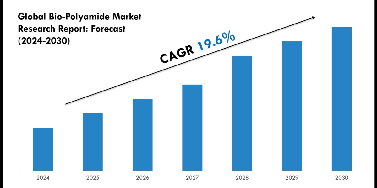 Bio-Polyamide Market Outlook 2024: Trends, Growth & Demand