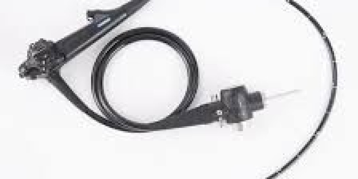 Electronic Gastroscope Market Outlook: Trends, Technologies, and Forecast