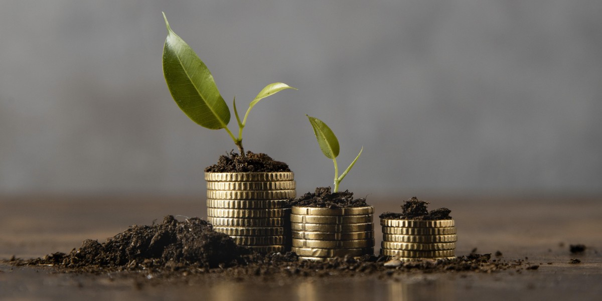 Will Mutual Fund Software in India Help Me Manage Risk Profiling Compliance?