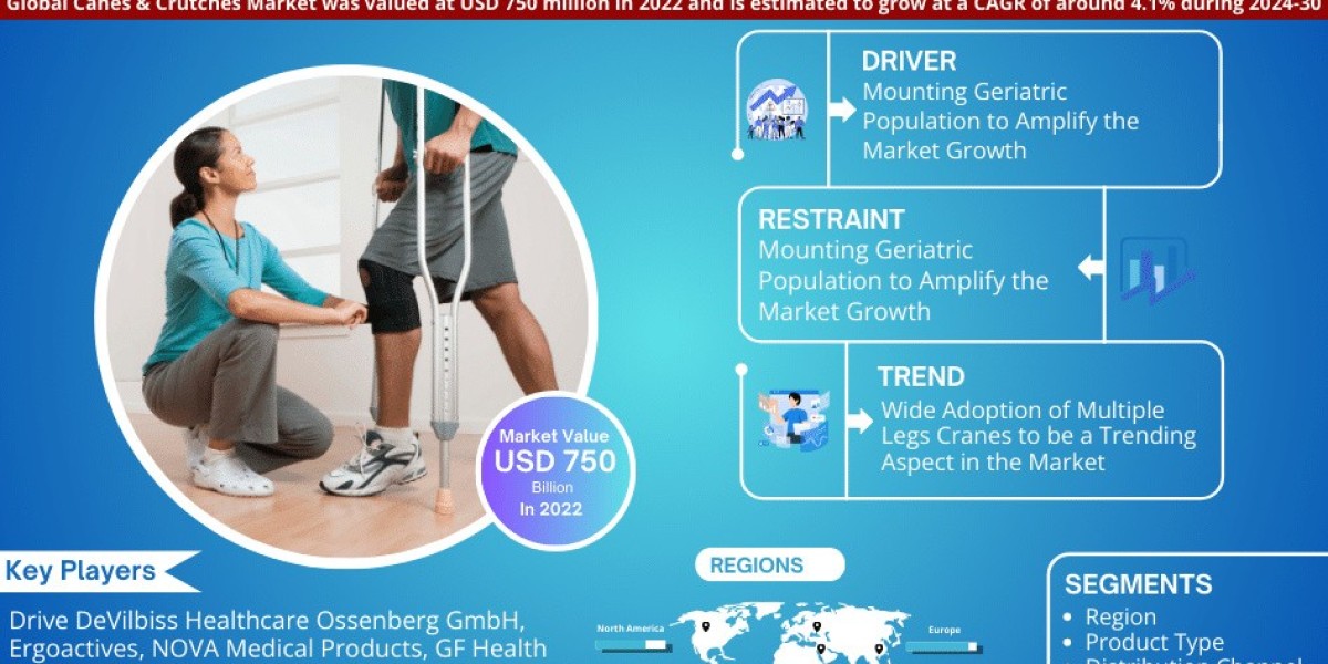 Canes & Crutches Market Projected to Expand Rapidly with 4.1% CAGR by 2030