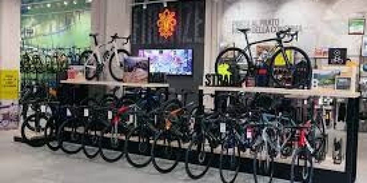 Comprehensive Germany Bicycle Market Research Report with Future Forecast Insights
