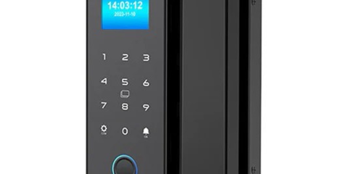 Advanced Fingerprint Door Lock Solutions for Wooden Doors