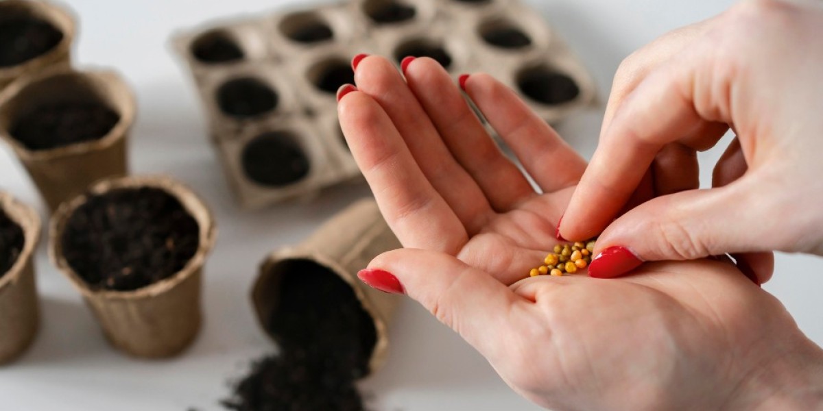 Boosting Yields: How the Agricultural Micronutrients Market Is Powering Sustainable Growth