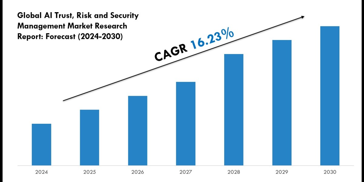 AI Trust, Risk and Security Management Market Outlook 2024: Trends, Growth & Demand