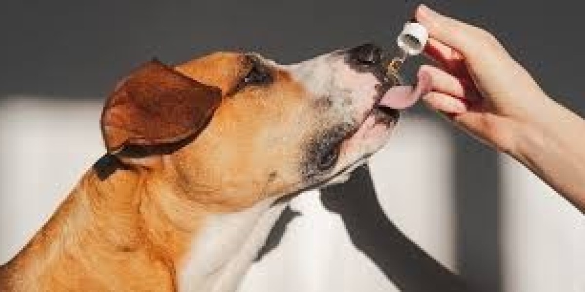 Pet Supplement Market Inhibitors Challenging Sustainable Industry Growth and Adoption